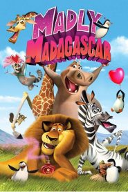 Zakochany Madagaskar (2013)