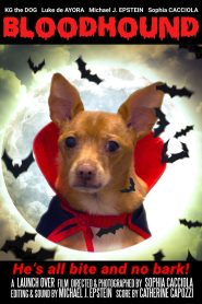 Bloodhound (2020)